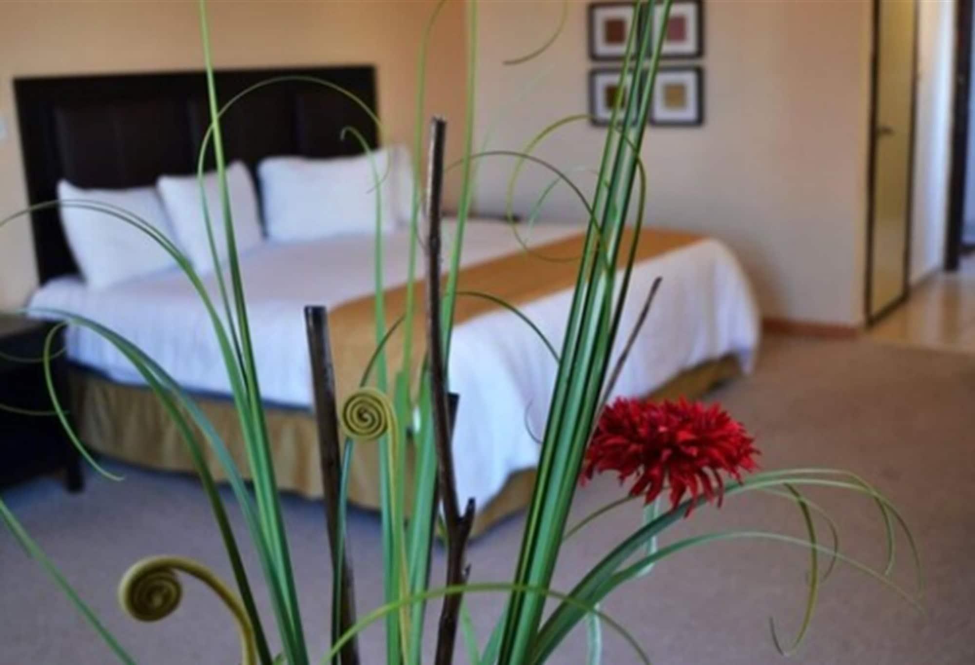 El Dorado Otel Los Mochis Dış mekan fotoğraf